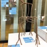 Grown Chair on display in Leipzig at the Designers' Open. Photo. NH Wien